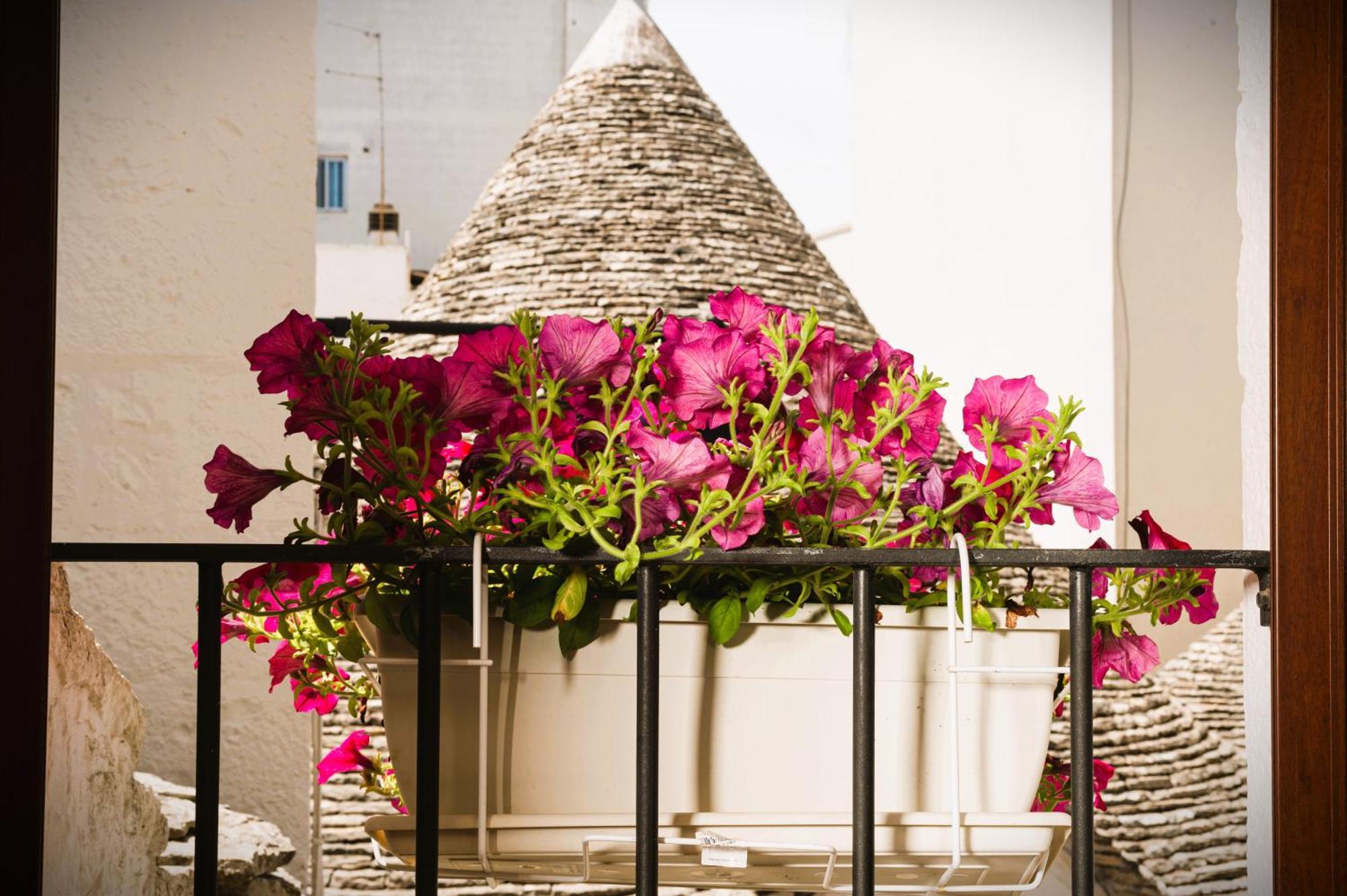 Il Trullo Moore ألبيروبيللو المظهر الخارجي الصورة
